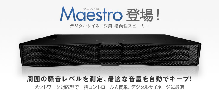 Maestro(マエストロ)とは