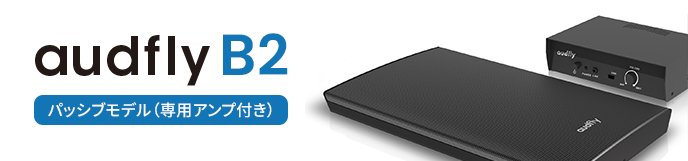 audfly B2